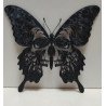 Décor papillon tête de mort