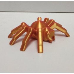 tarantule or