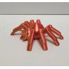 tarantule
